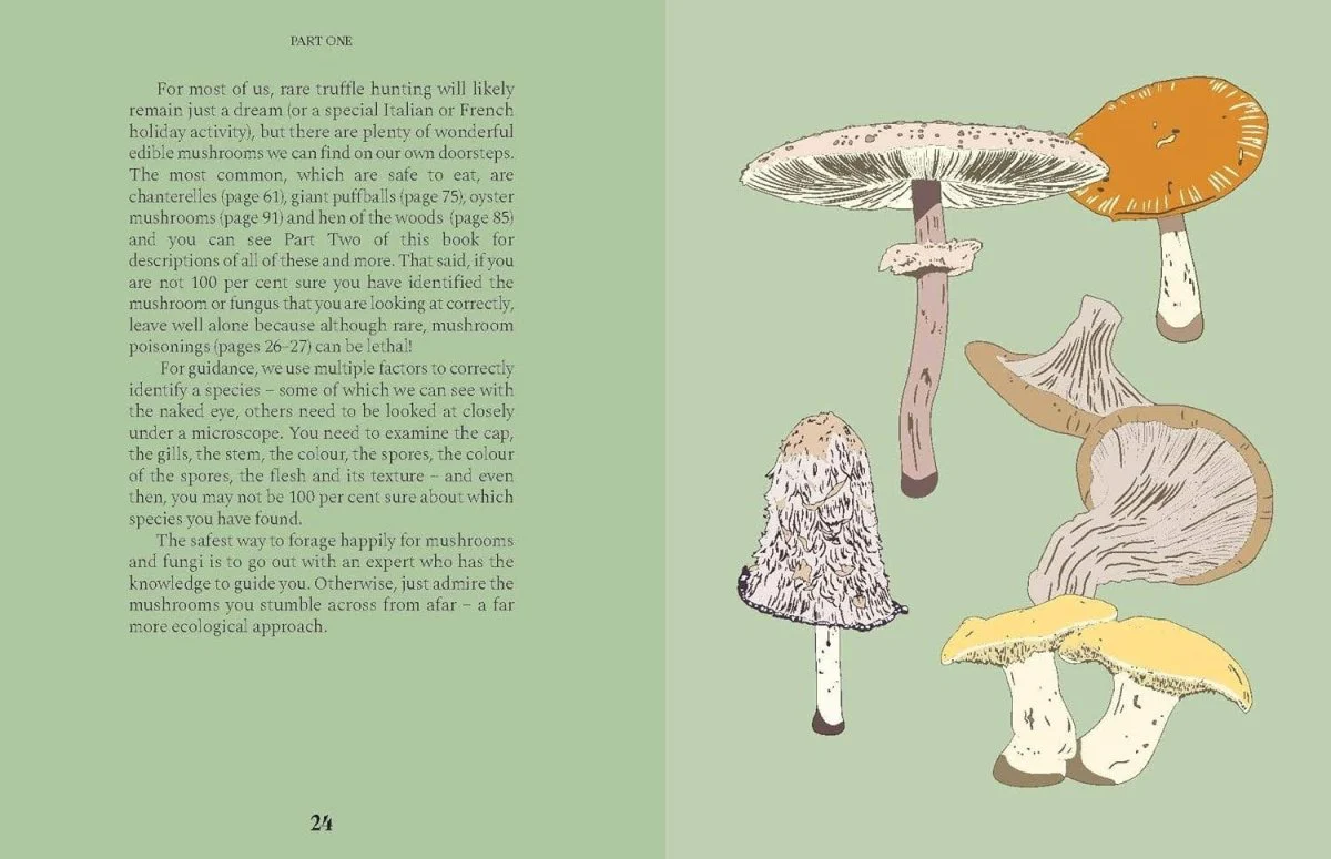 Livre Mushrooms Chronicle Books - Image 5