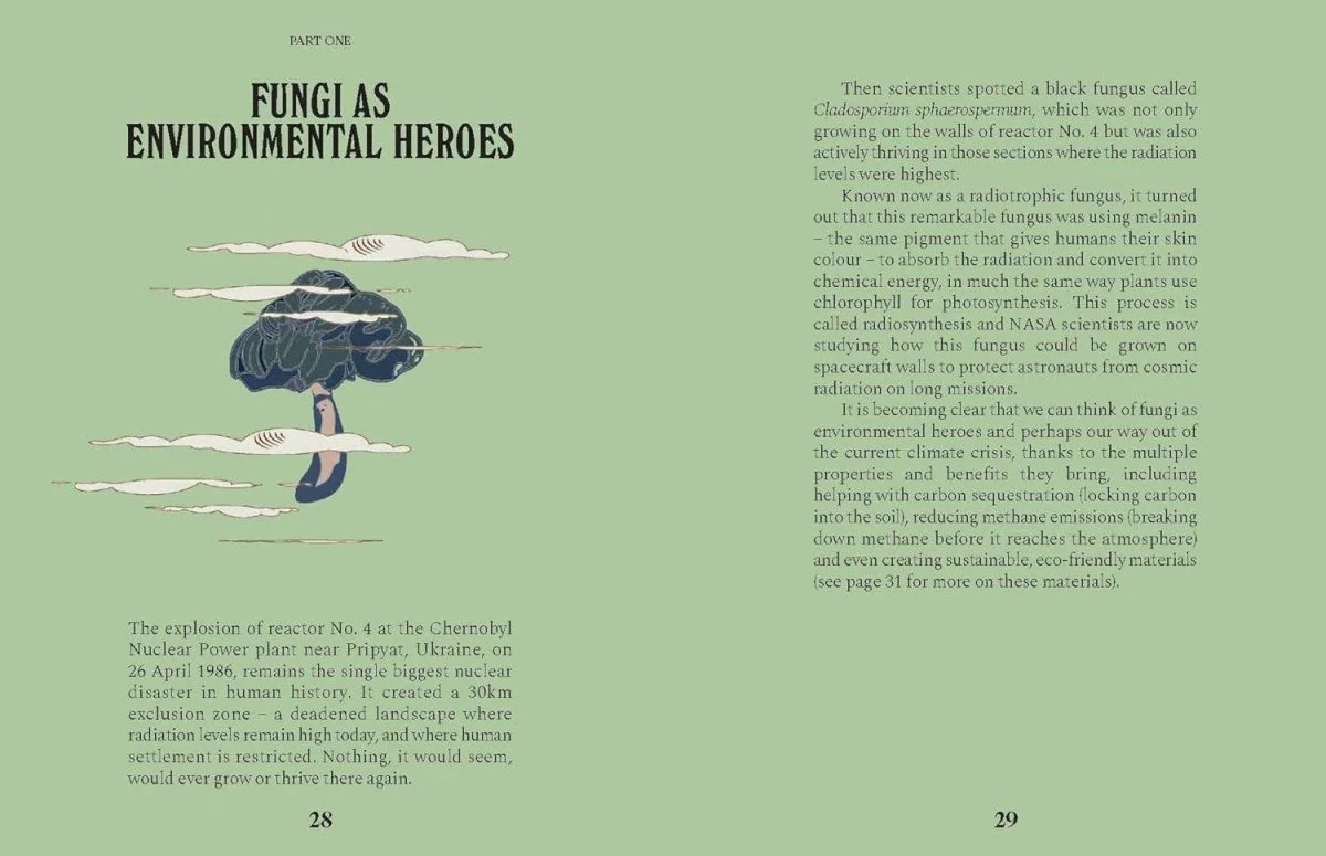 Livre Mushrooms Chronicle Books - Image 6