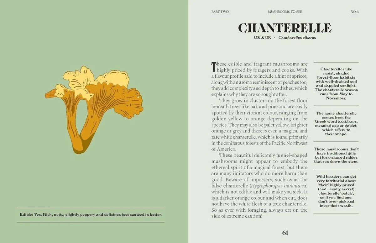 Livre Mushrooms Chronicle Books - Image 9