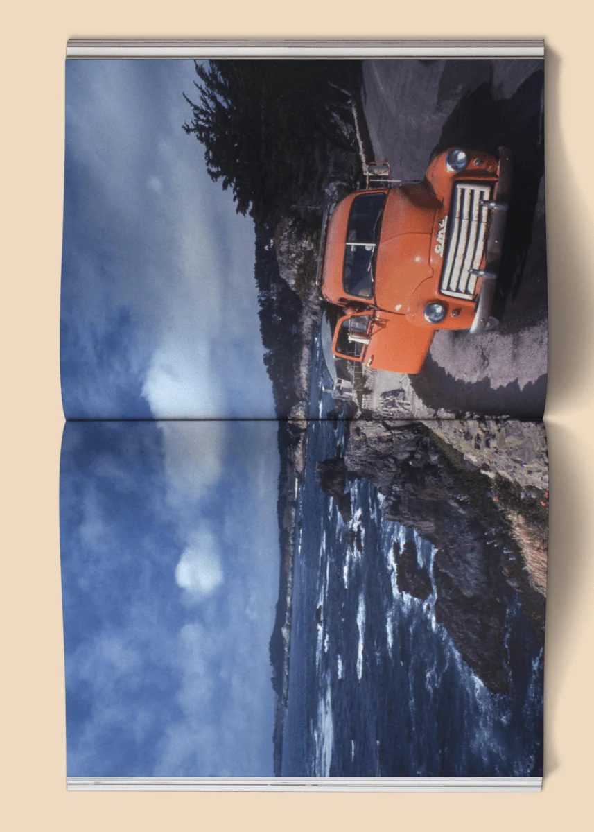 Livre Photo The Family Acid: California Broccoli - Image 4