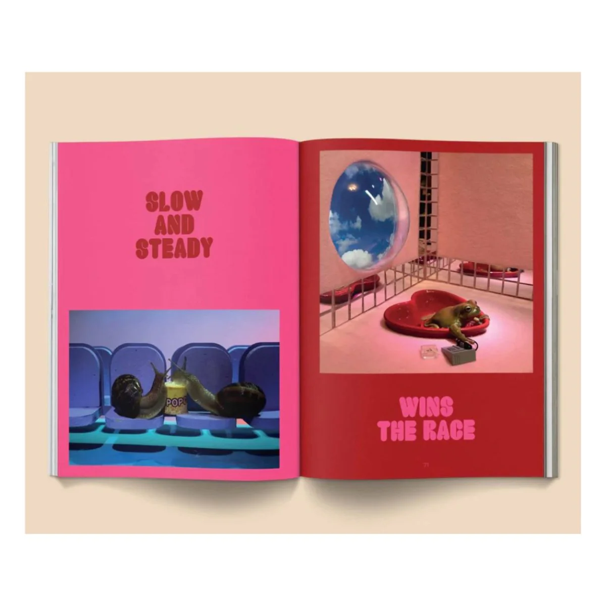 Livre Snail World Broccoli - Image 4