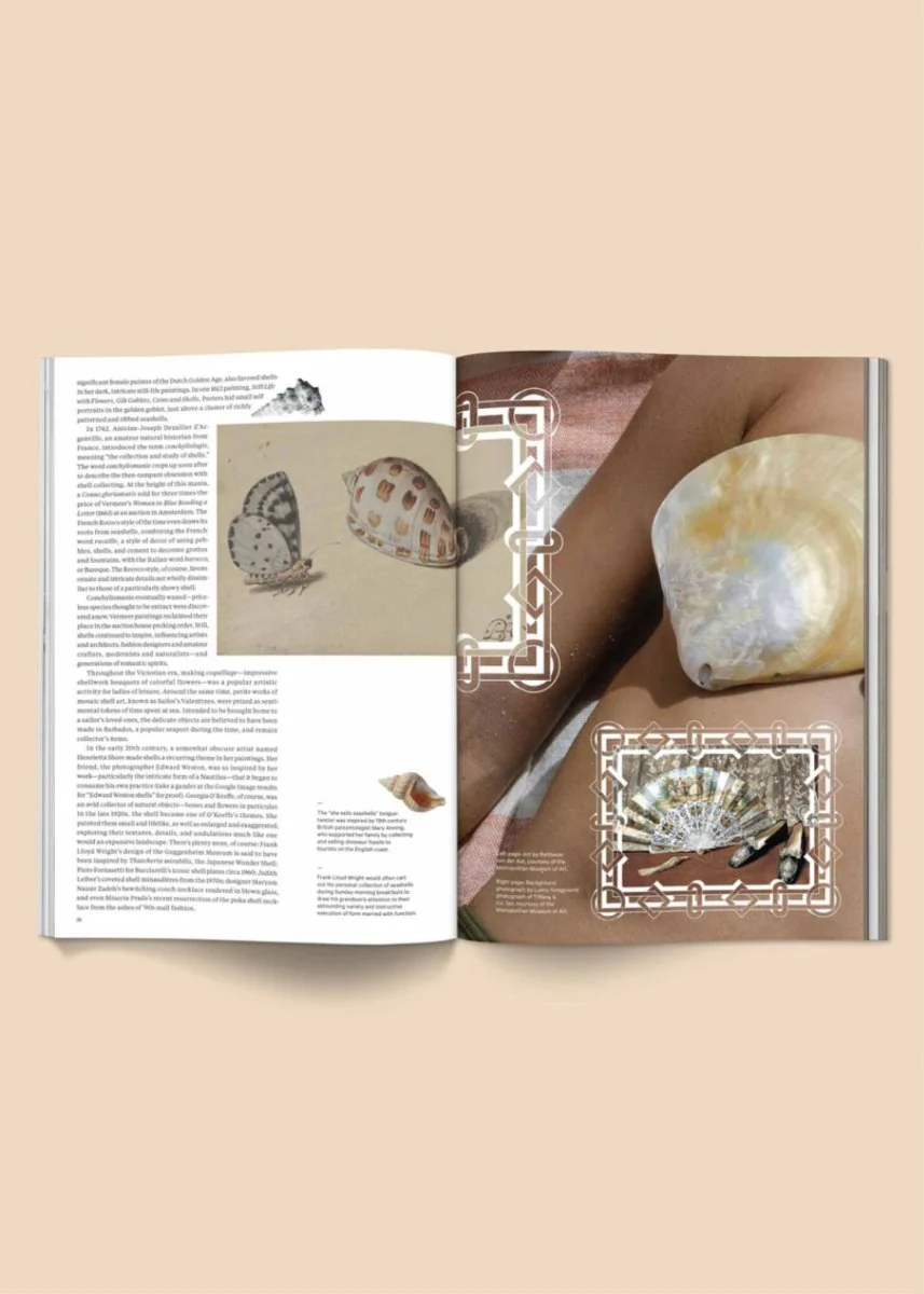 Magazine Broccoli #04 - Image 4