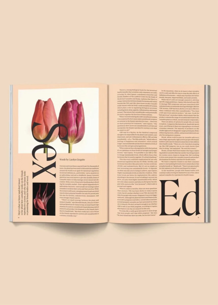 Magazine Broccoli #04 - Image 6