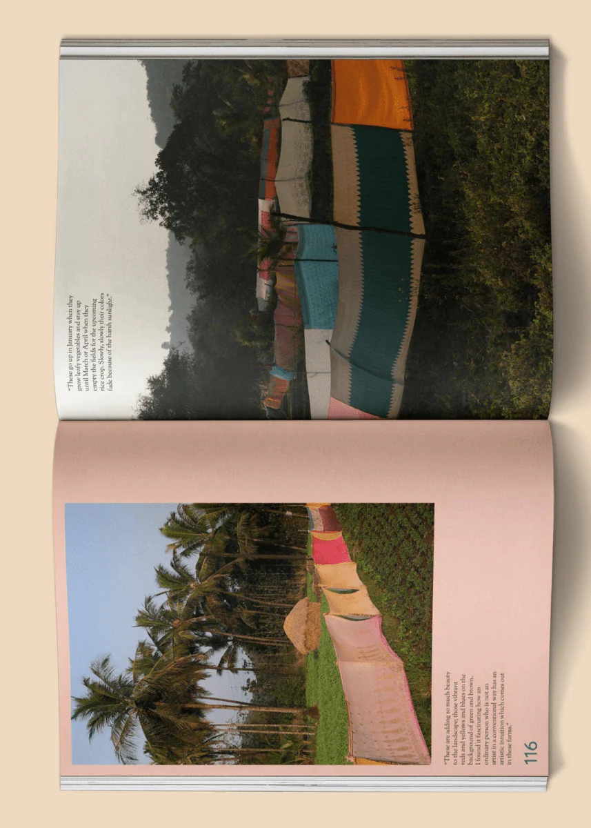Magazine Mildew No 4 Broccoli - Image 3