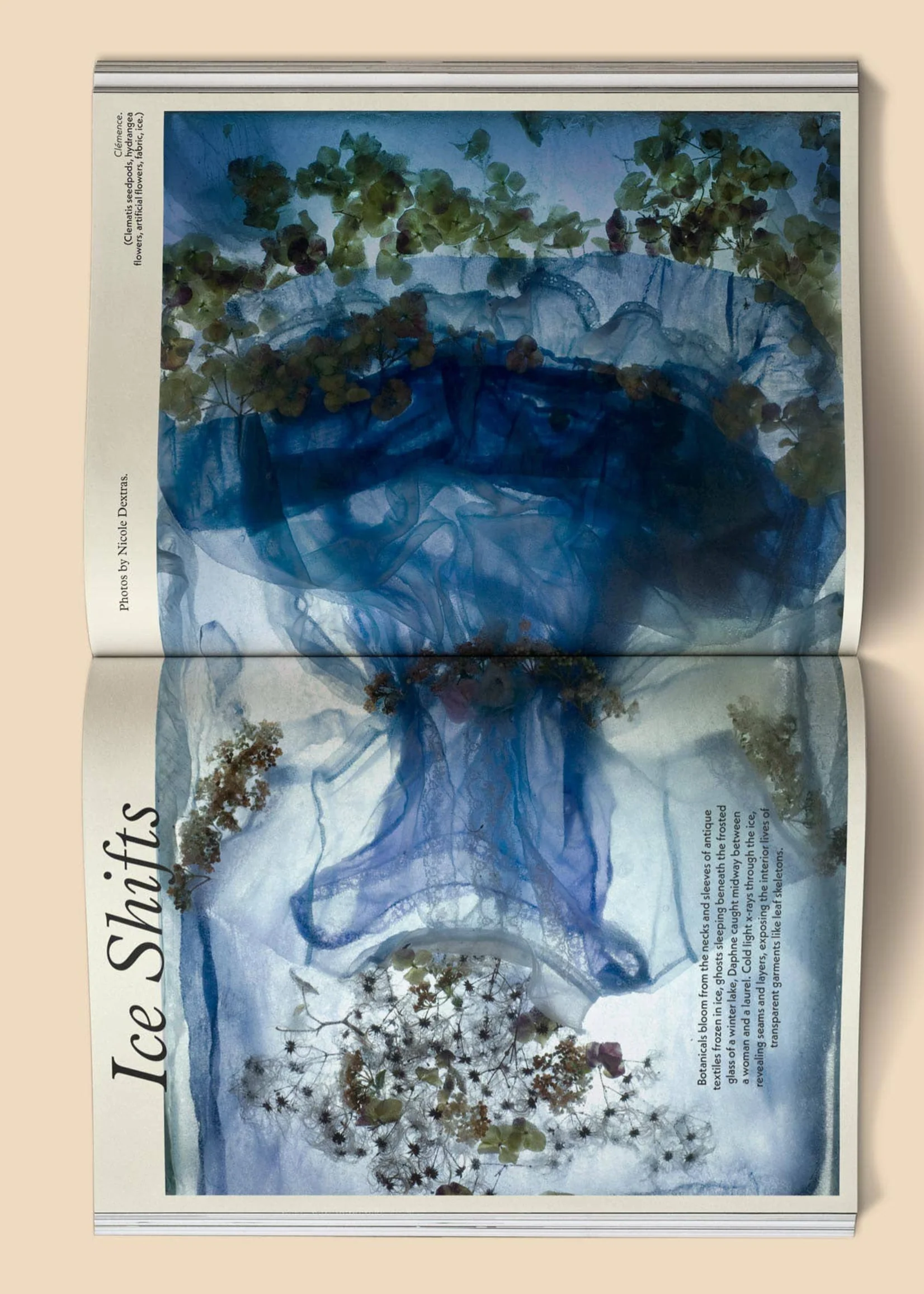 Magazine Mildew No 4 Broccoli - Image 8