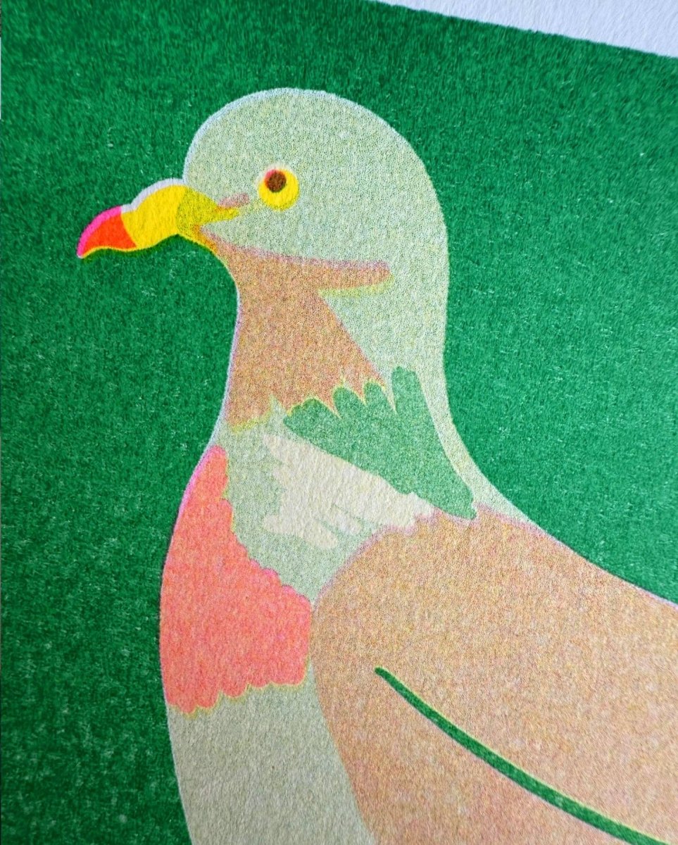 Mini Affiche Pigeon Naomi Wilkinson - Image 2